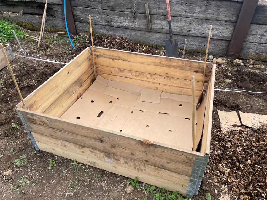 An empty wooden raised bed frame lined with cardboard