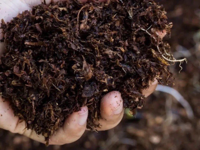 A handful of dark, crumbly healthy soil held in an open hand